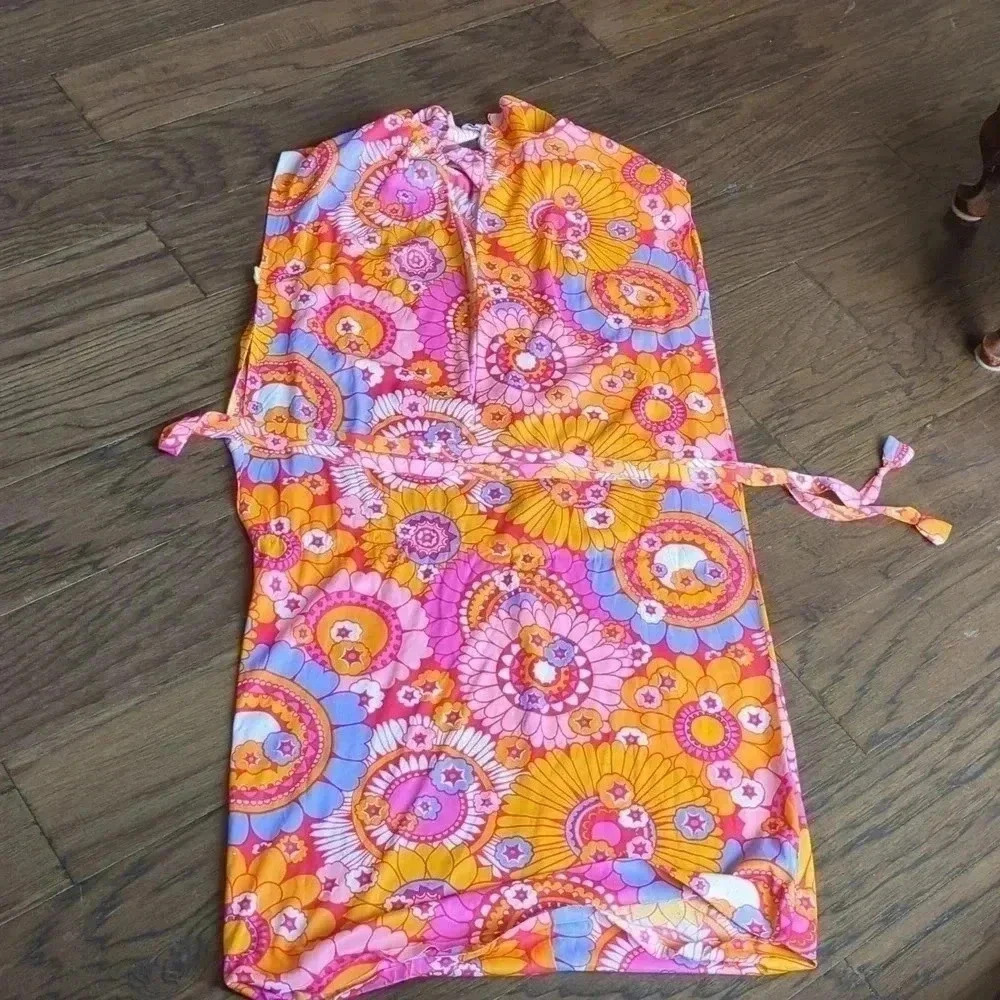 Spectacular 1960's Dress